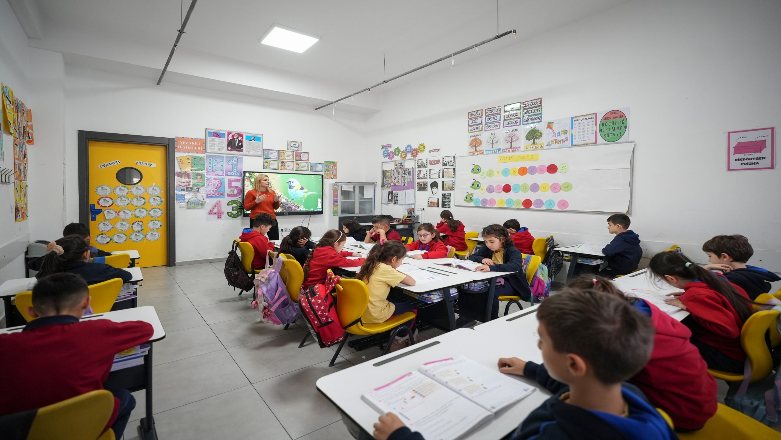Akademik Yapımız